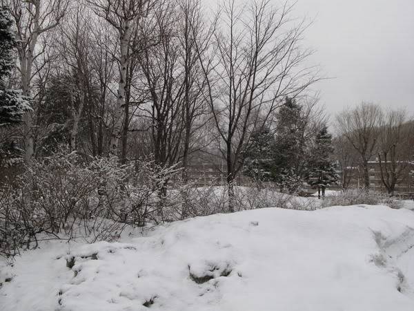 IMG_3070_resize.jpg