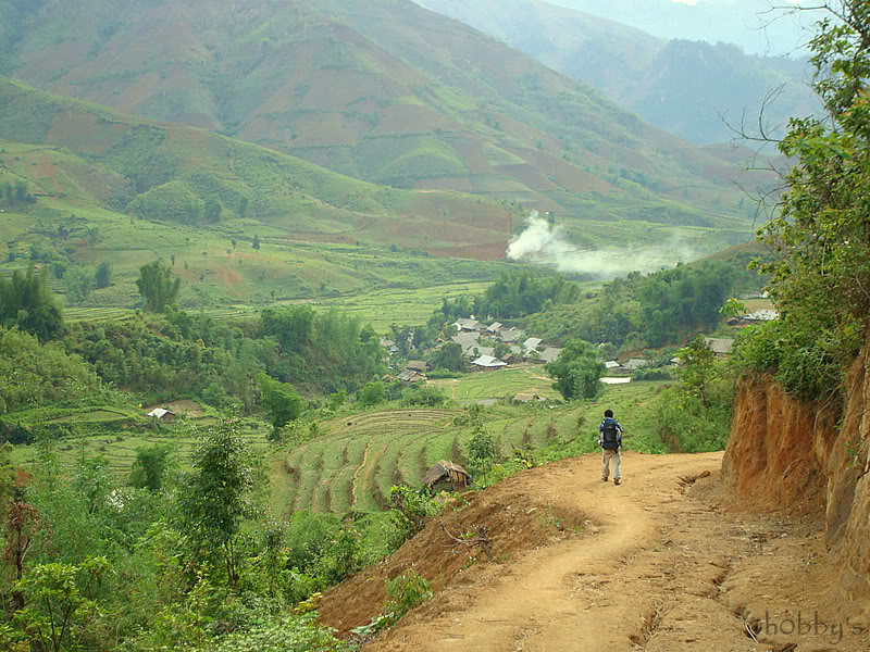 DSC08225-1.jpg