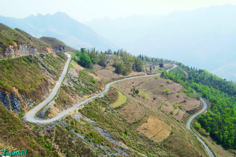 SDC16564.jpg