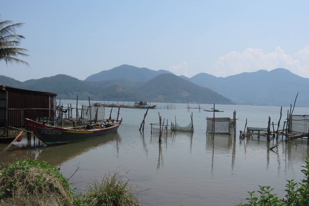 IMG_0484_zpsjrwqraqv.jpg