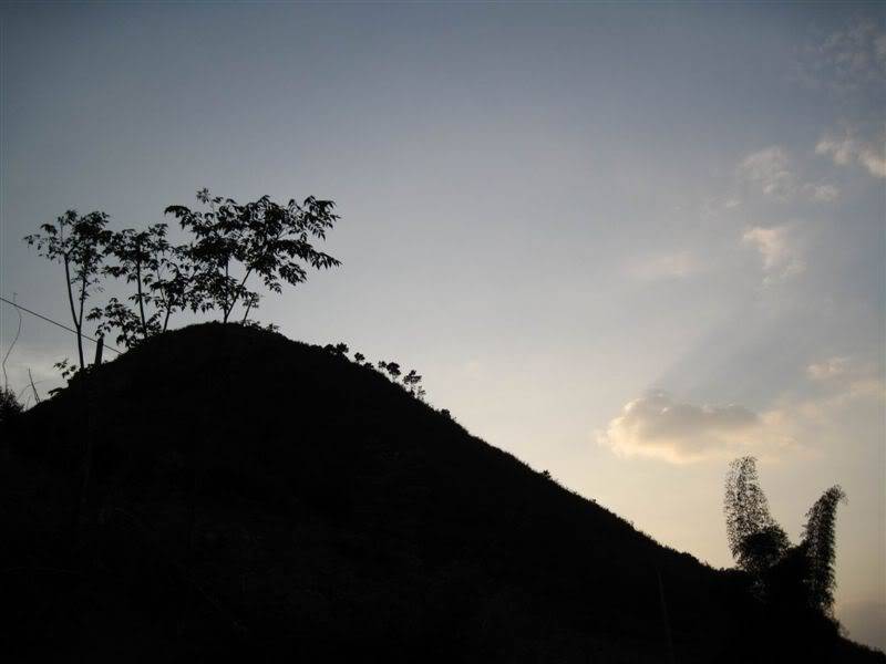 ResizeofIMG_0179.jpg