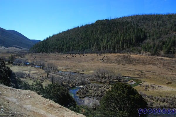 shangri-la236.jpg