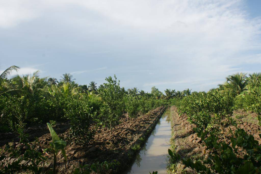 DSC02296_zps7a8df21d.jpg