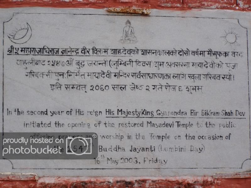 PB150481.jpg