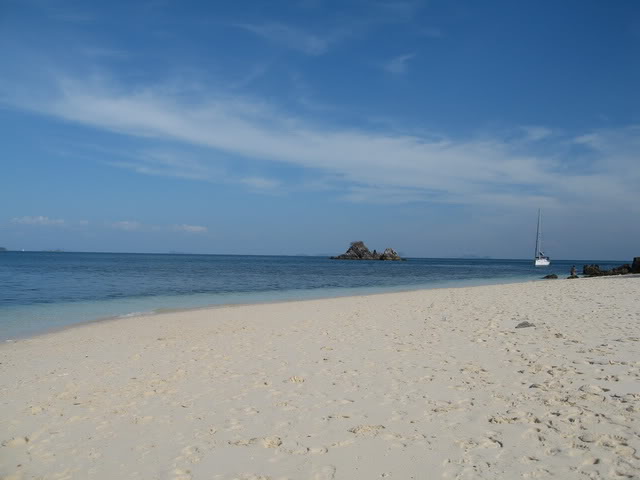91.jpg