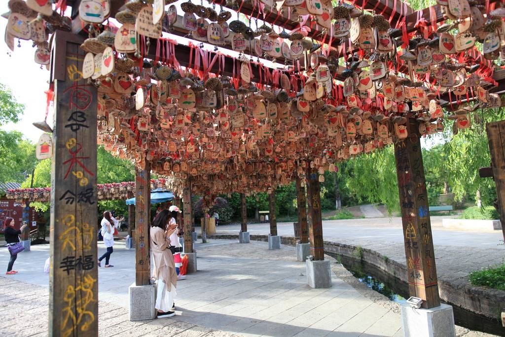 IMG_4920_zpsc2x2ludb.jpg