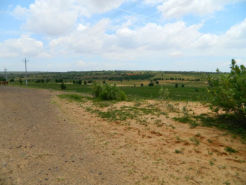 DSCN2271.jpg