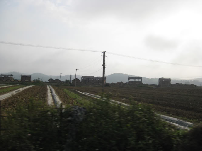 IMG_0200.jpg