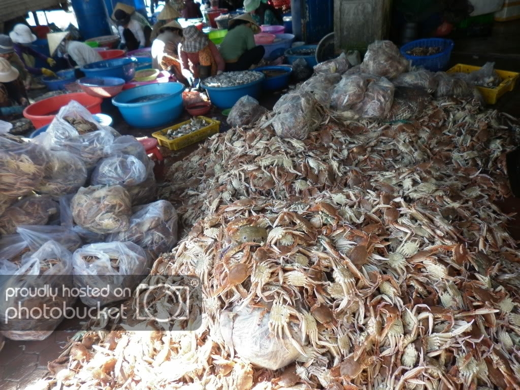 P1010266.jpg