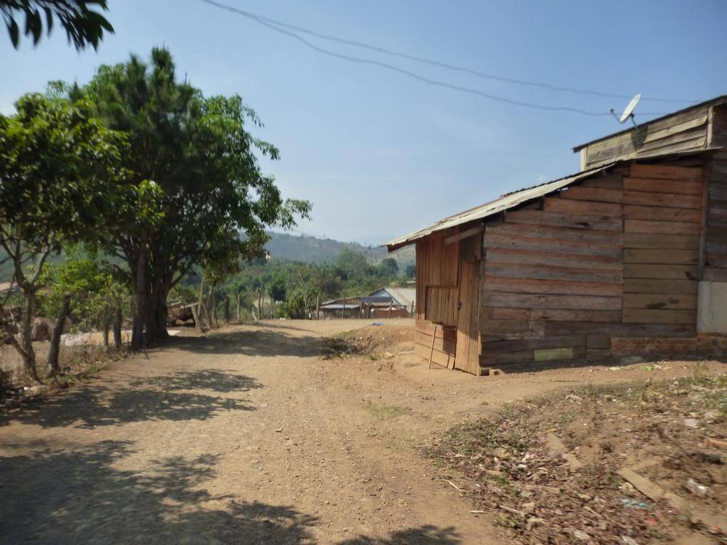 P1010844_zpse69ea15b.jpg