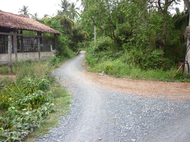P1320800.jpg