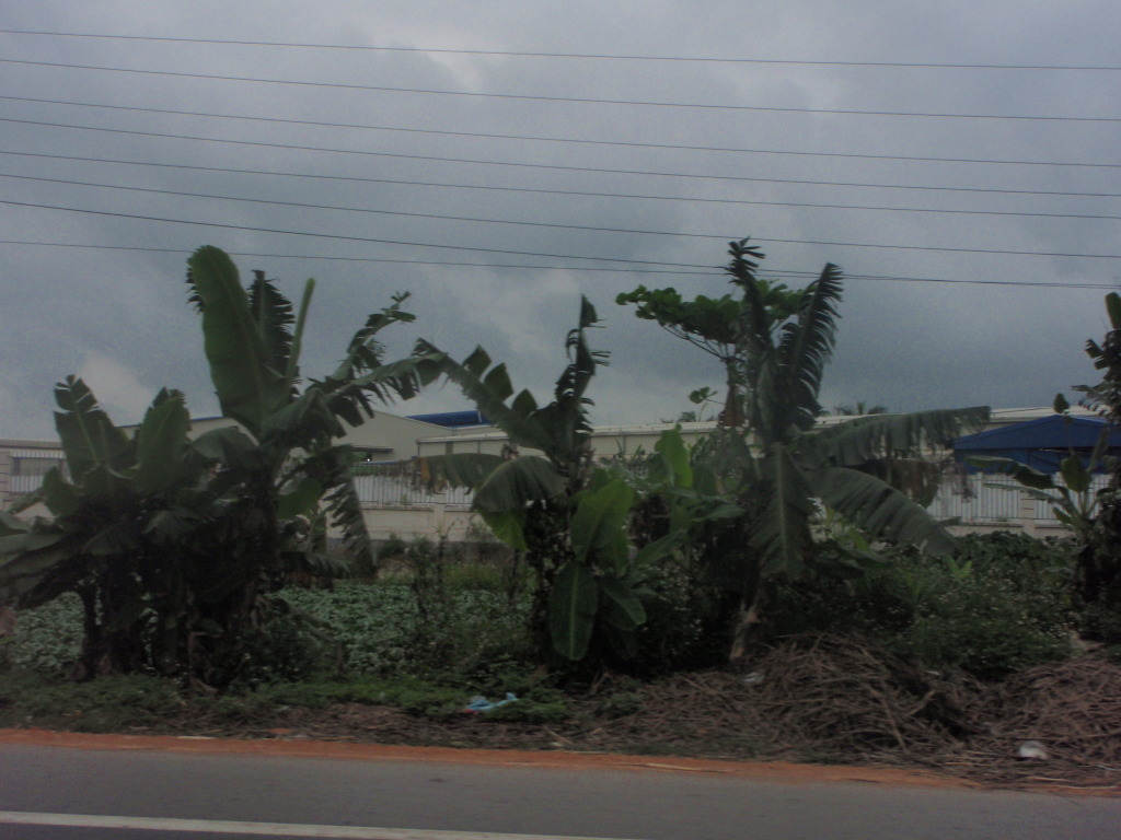 P1012506.jpg