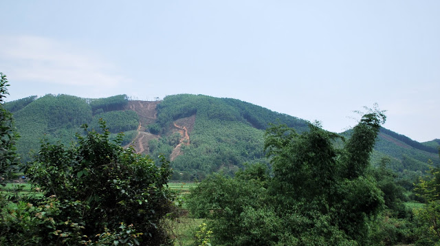 DSC_2169.JPG