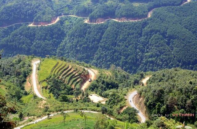 Hgiang31.jpg