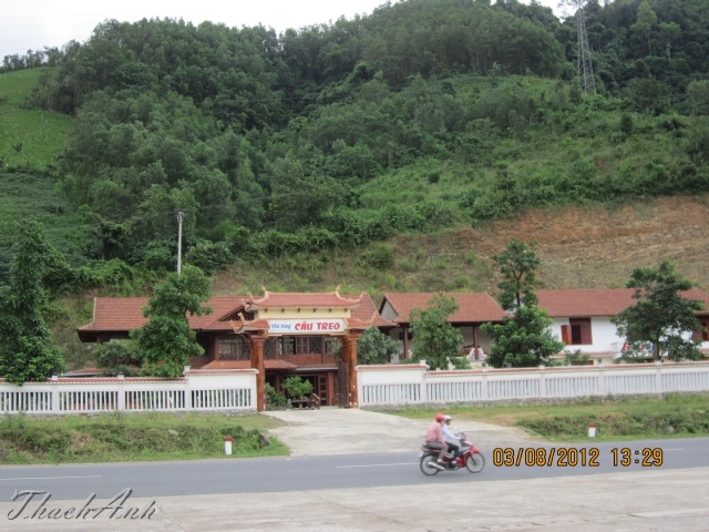 IMG_7981-Copy.jpg