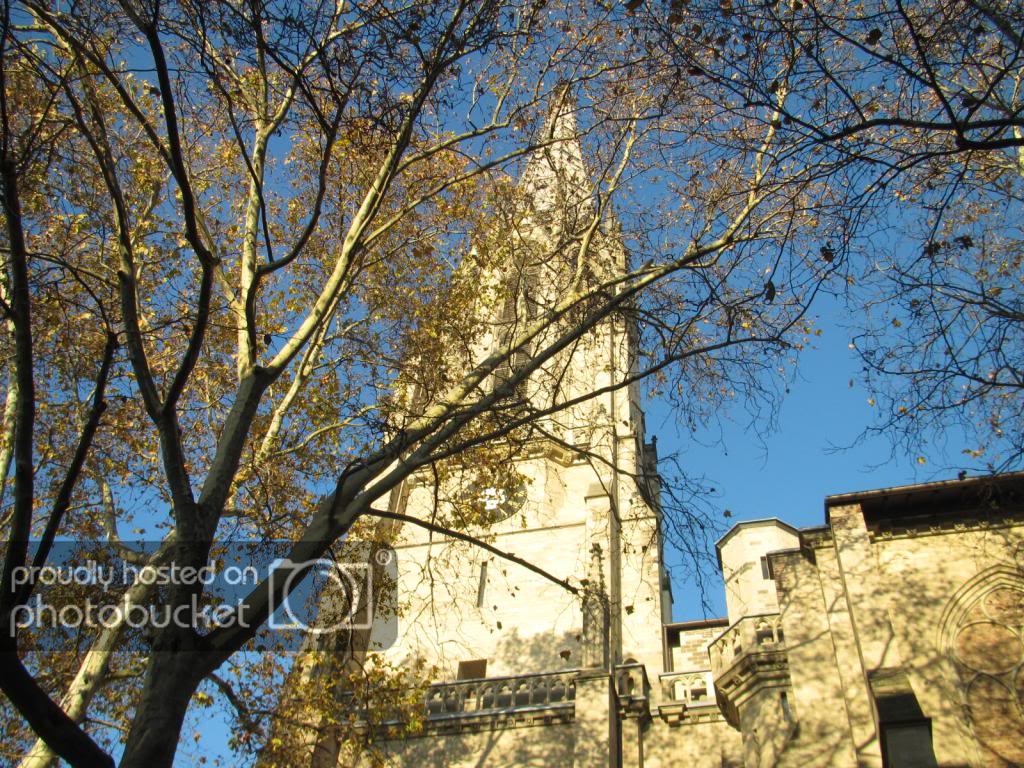 IMG_2716_zps6a111e70.jpg