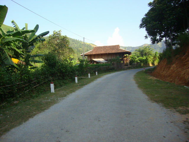 2010-09-20-cd-mb-0710-meo-vac-ly-bon1.jpg