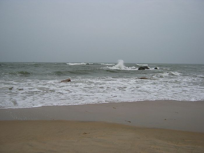 IMG_2965.jpg