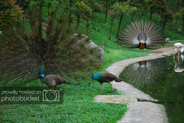 birdpark15.jpg