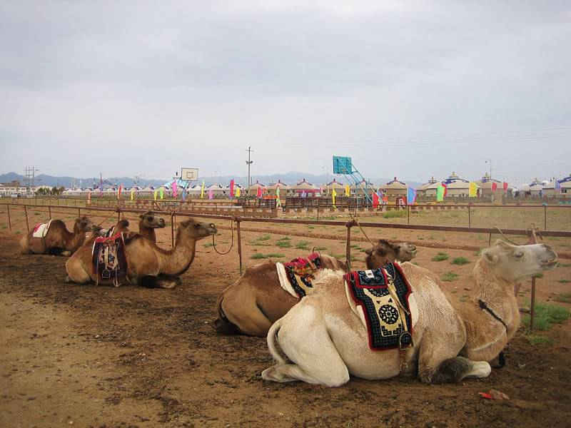 lacdataitruongduaAlashantruocgioxua.jpg