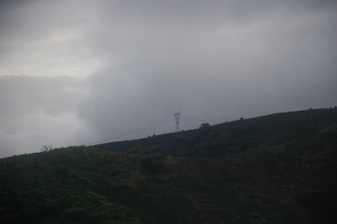 DSC_3039.jpg