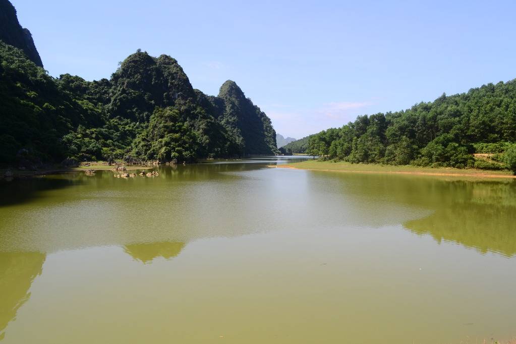 DSC_6611.jpg