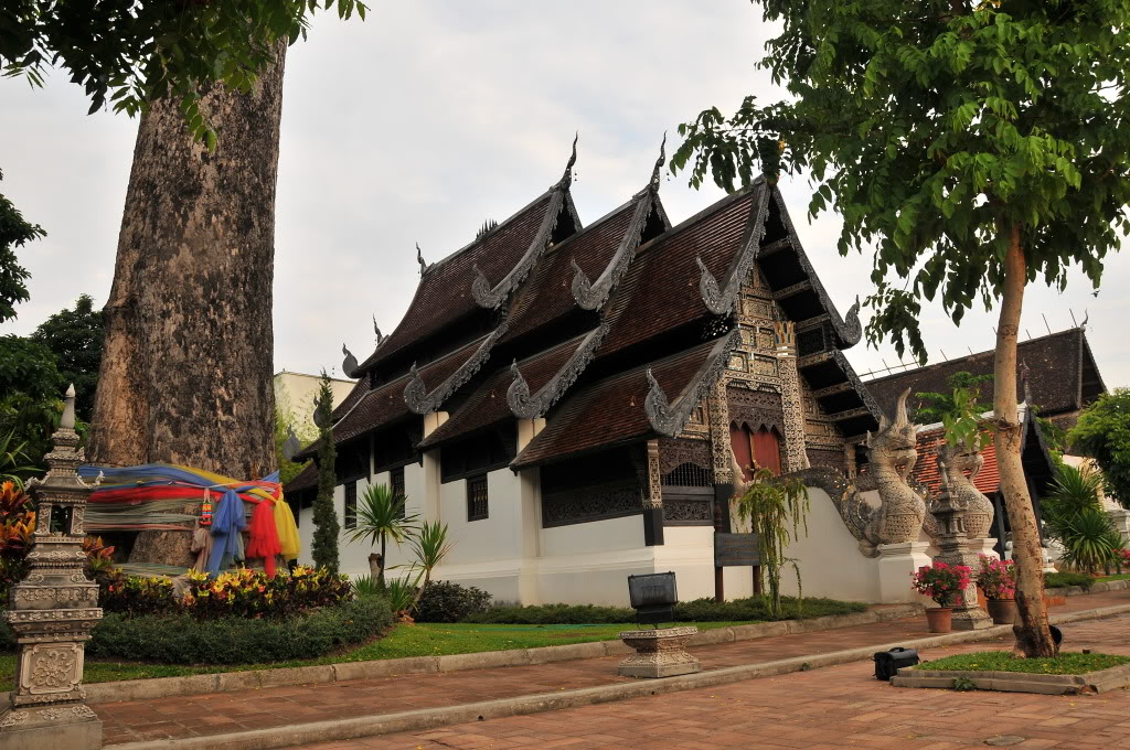 DSC_1167.jpg