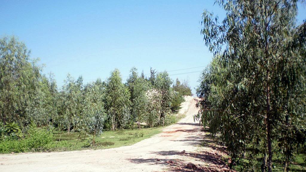 154.jpg