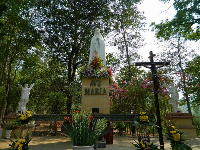 DSCN3595.jpg