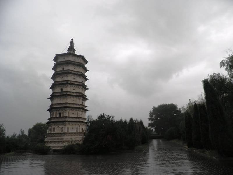 P9082603.jpg