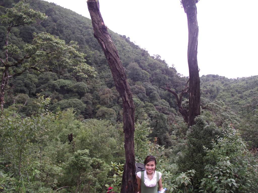 2011_311.jpg
