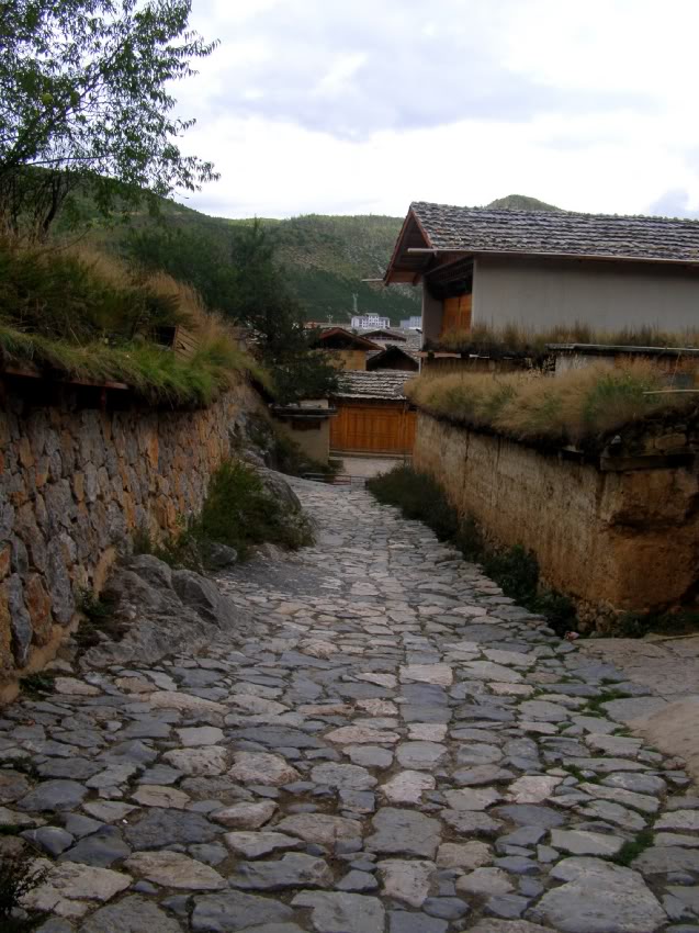 PA030212-1.jpg