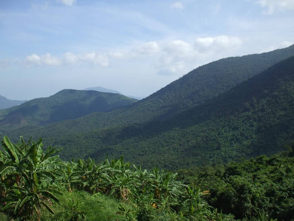 DSCF43211.jpg