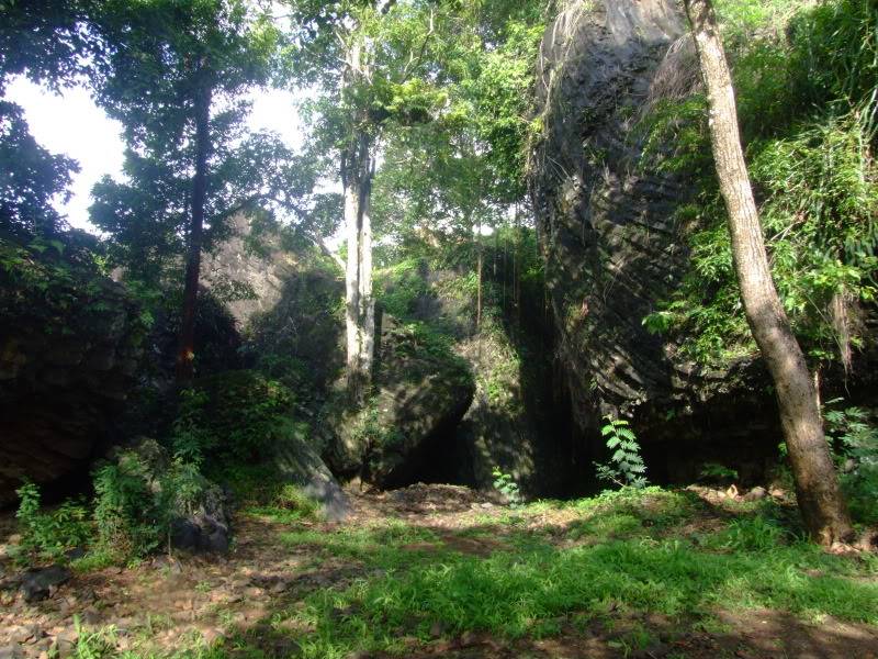 DSCF2990-1.jpg