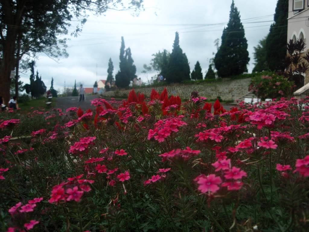 P1014333.jpg