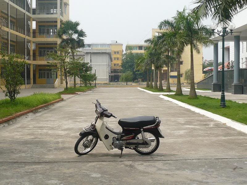 P1050239.jpg
