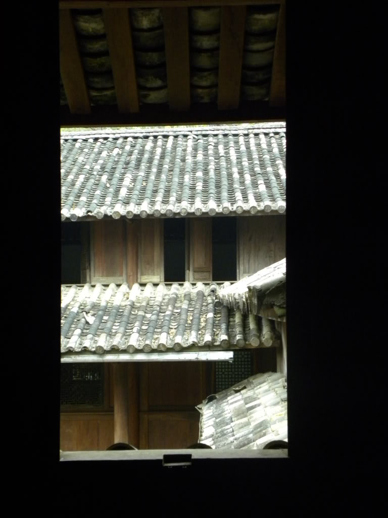 DSCN9677.jpg
