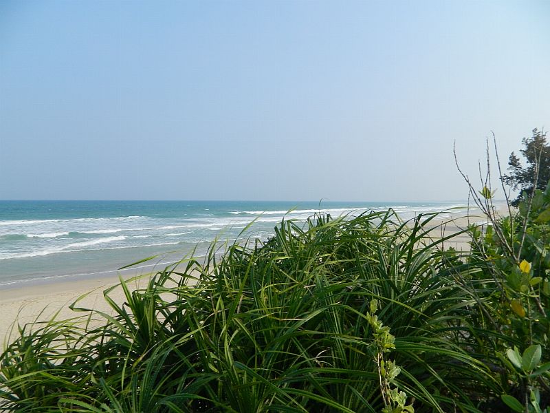 DSCN2664.jpg