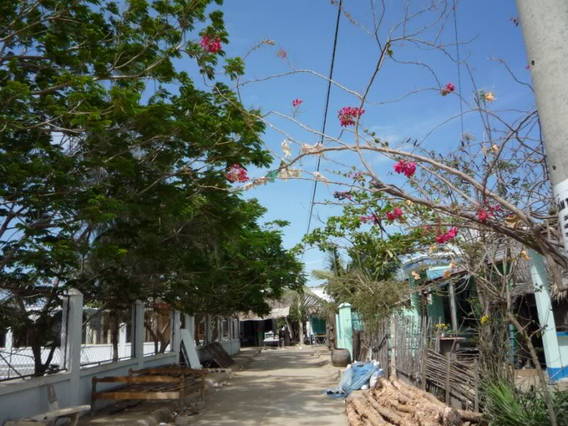 P1030121800x600.jpg