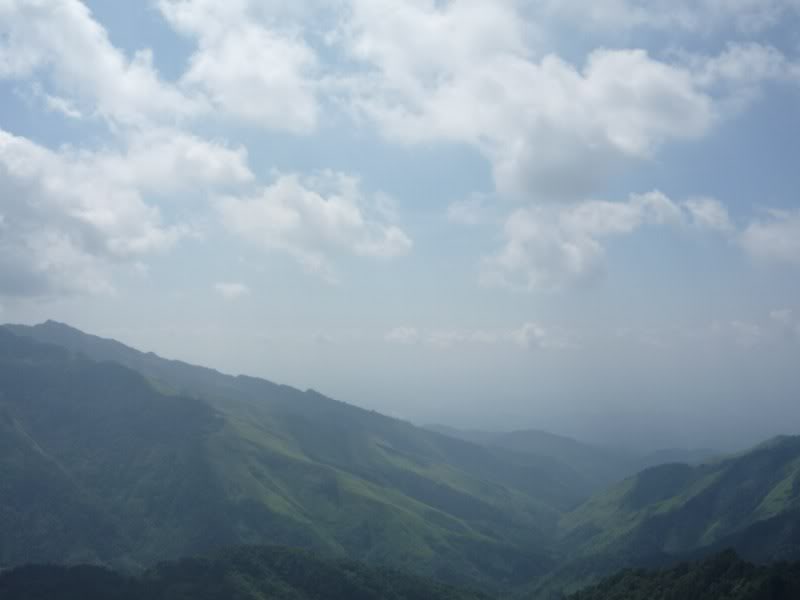 P1020052800x600.jpg