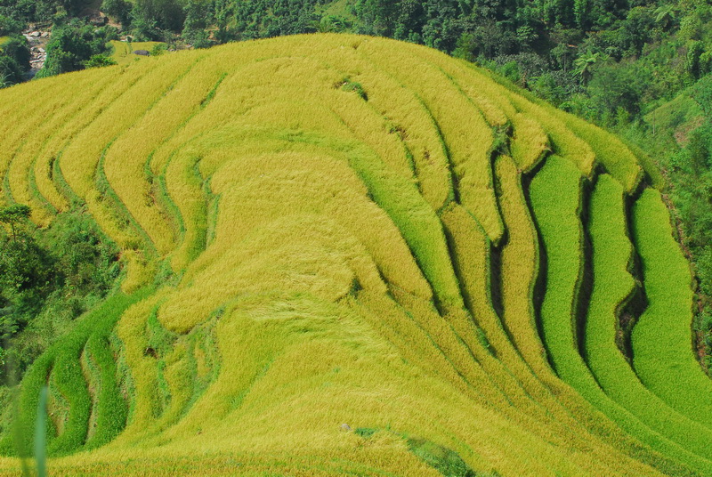 2965447137_8d58ce4655_o.jpg