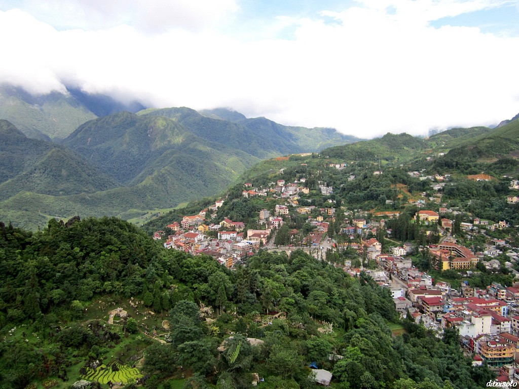 D5JC068.jpg