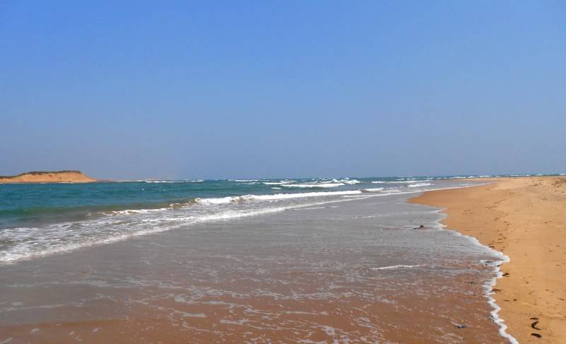 DSCN9749-1.jpg