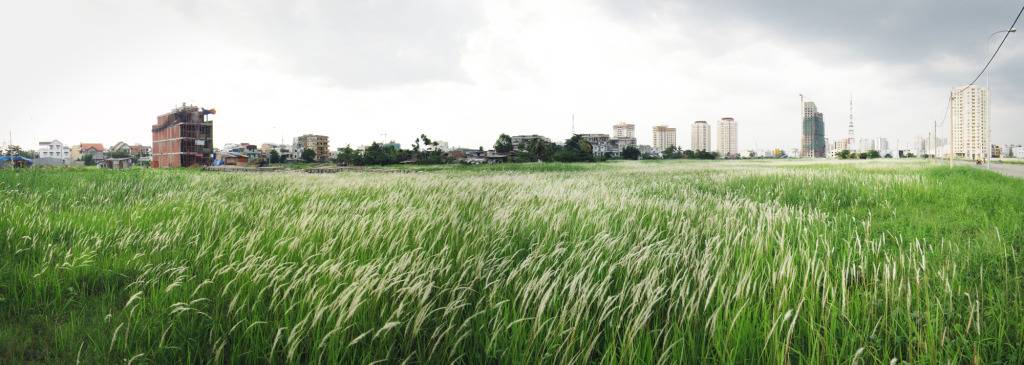 Untitled_Panorama2jpg.jpg