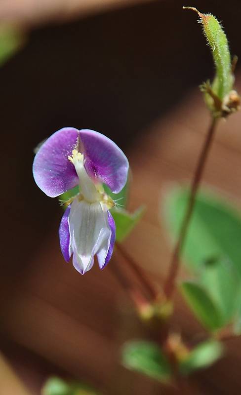 DSC_2571_zpsb3d005e9.jpg
