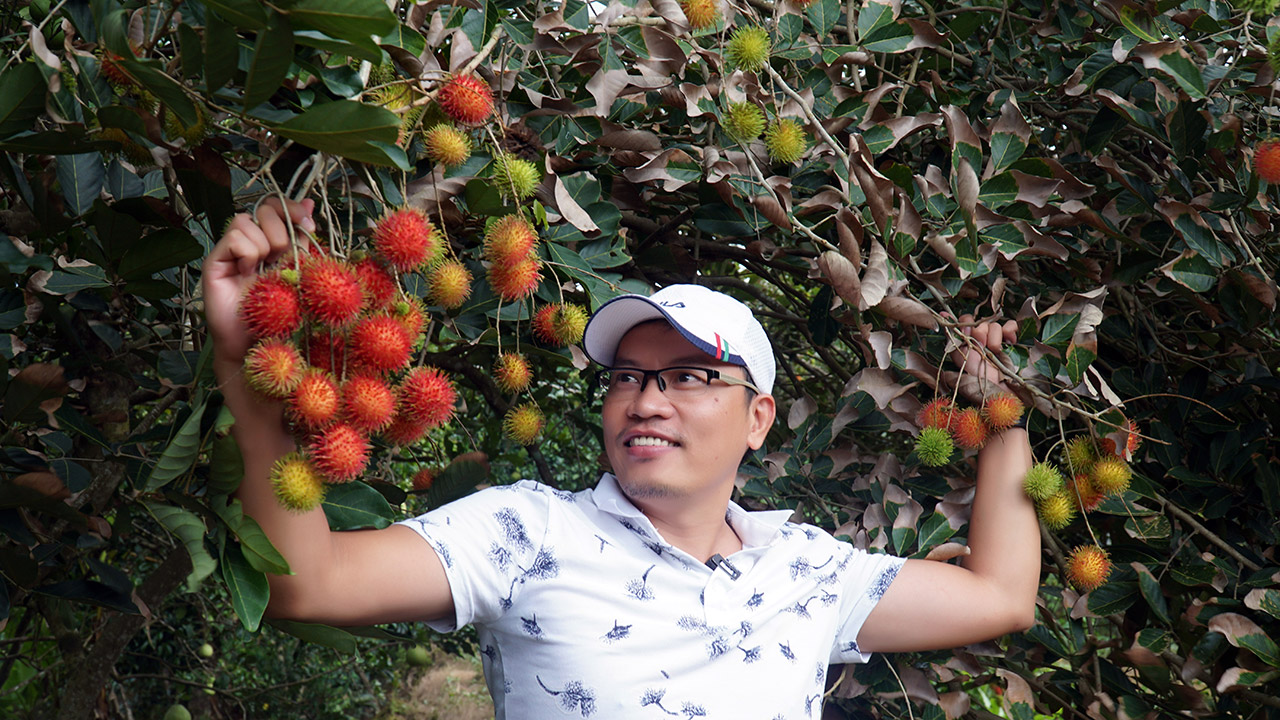 hai-chom-chom-vuon-Tam-Trong.jpg