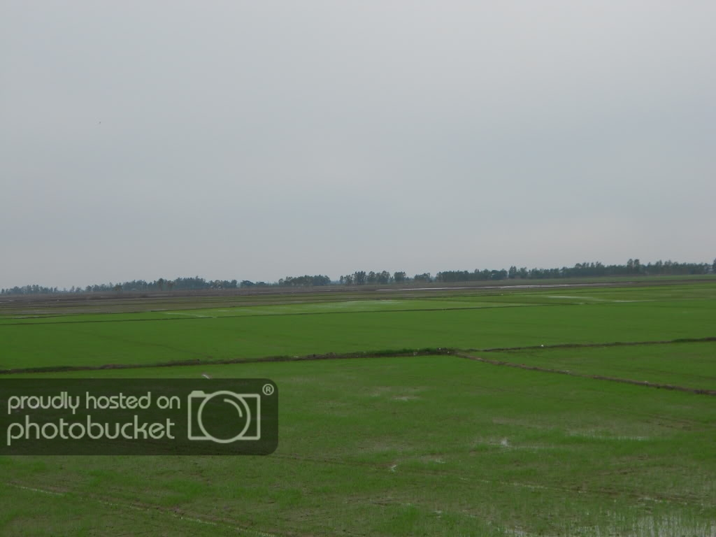 DSCN0651.jpg