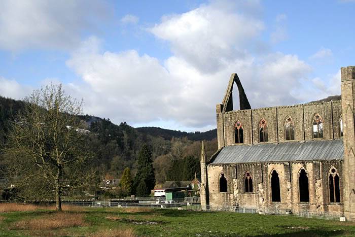 Tintern11.jpg