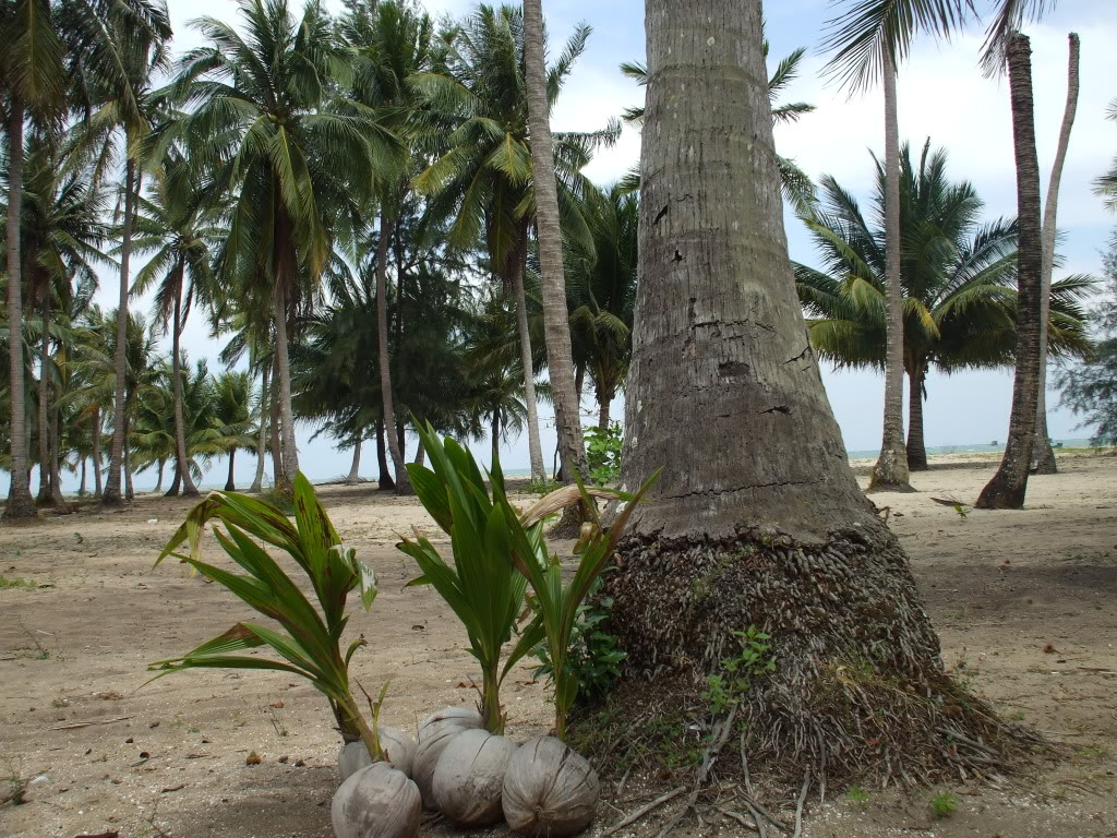 DSCF4890.jpg