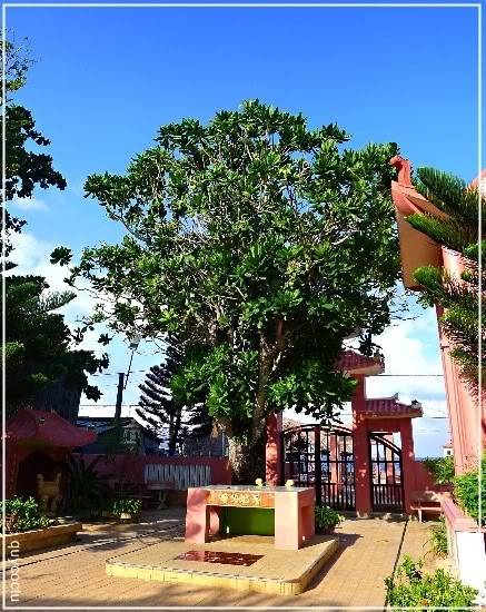 ThoChau_Quycoctu_P233.jpg